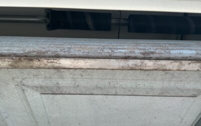 Winter’s Chill and Your Garage Door : Why East DFW Homeowners are Facing Spring Breaks and Opener Failures